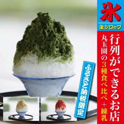手作り かき氷 生 シロップ 食べ比べ セット 3種 練乳 5 031 お礼品詳細 ふるさと納税なら さとふる