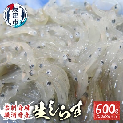 お刺身用駿河湾産生しらす600g(100g×6パック)(a10-653) | ふるさと納税のお礼品