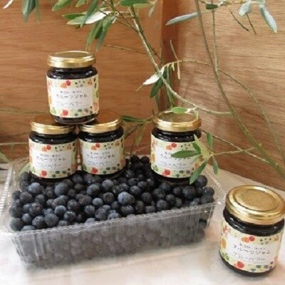 こだわり 手作り ブルーベリージャム 5本 セット A10 659 お礼品詳細 ふるさと納税なら さとふる