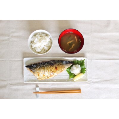 国産 天然 塩さば フィレ 肉厚 個包装(a16-194)