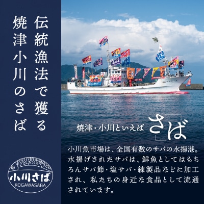 国産 天然 塩さば フィレ 肉厚 個包装(a16-194)