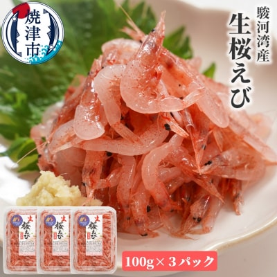 焼津特選 生桜えび100g×3(a10-679)