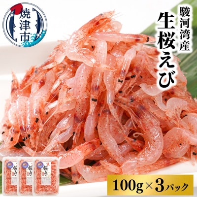焼津特選 生桜えび100g×3(a10-679)