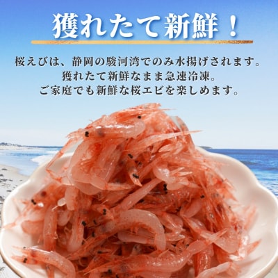 焼津特選 生桜えび100g×3(a10-679)
