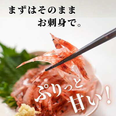 焼津特選 生桜えび100g×3(a10-679)