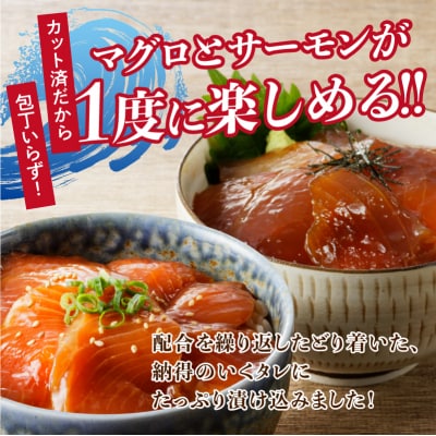 ビンチョウ まぐろ & サーモン 漬け 2種盛り 10パック(a10-697)