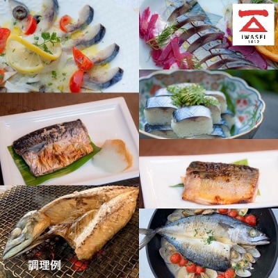 「国産鯖お楽しみセット」西京　個包装　　詰め合わせ　切り身(a13-102)