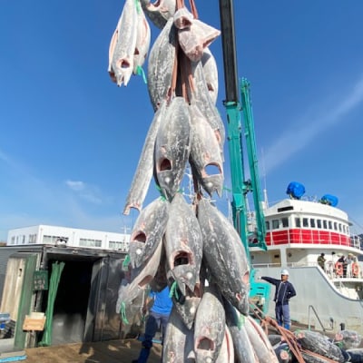 静岡県産!めかじきしゃぶしゃぶ鍋セット450g入(a12-209)