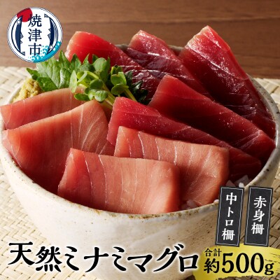 天然南鮪　中トロ・赤身　刺身二種盛り(a20-427)