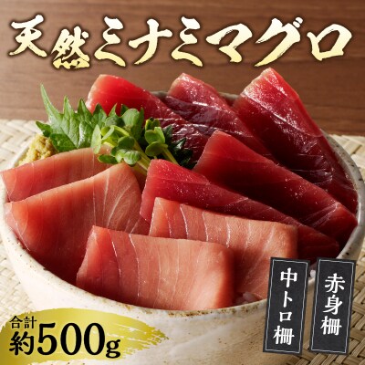 天然南鮪　中トロ・赤身　刺身二種盛り(a20-427)