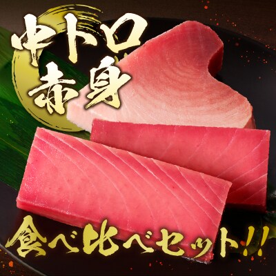 天然南鮪　中トロ・赤身　刺身二種盛り(a20-427)