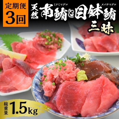 海からの贈り物 焼津天然まぐろ三昧(3回お届け)定期便(a30-232)