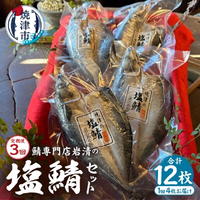 【定期便3回】「塩鯖4枚セット」国産　さば　無添加　個包装　贈答(a35-014)