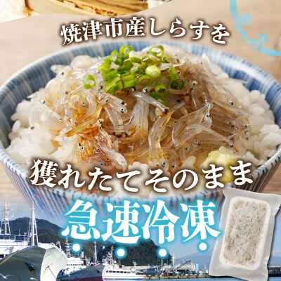 【定期便 3 】生しらす100g 6個×3回(a30-234)