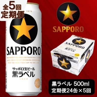 定期便 5回 ビール 黒ラベル サッポロ 500ml(b10-050)