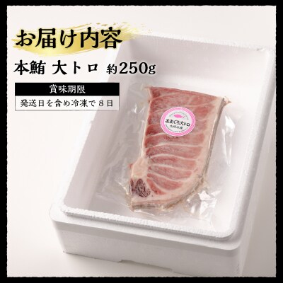 焼津 本マグロ 大トロ 1本約250g 冷凍 F1(a20-373)