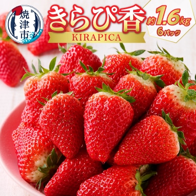 いちご静岡限定「きらぴ香」約1.6kg 計6パック(a15-472)