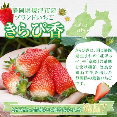 いちご静岡限定「きらぴ香」約1.6kg 計6パック(a15-472)