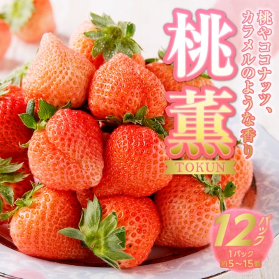 いちご希少品種「桃薫」～桃の香り&食感12パック～(a30-224)