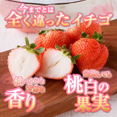 いちご希少品種「桃薫」～桃の香り&食感12パック～(a30-224)