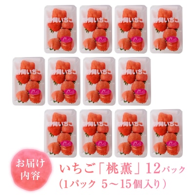 いちご希少品種「桃薫」～桃の香り&食感12パック～(a30-224)