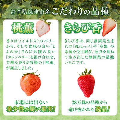 いちご「 桃薫・きらぴ香」食べ比べセット 計12パック(a30-225)