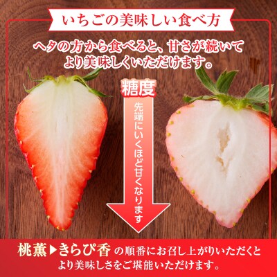 いちご「 桃薫・きらぴ香」食べ比べセット 計12パック(a30-225)