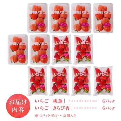 いちご「 桃薫・きらぴ香」食べ比べセット 計12パック(a30-225)