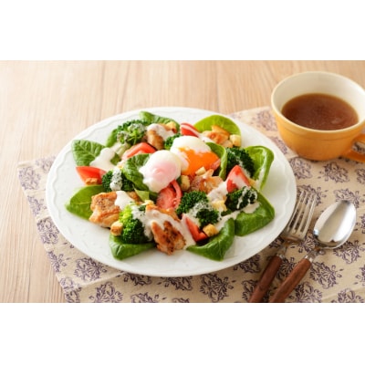 静岡発!エスエスケイフーズのマヨネーズ&ドレッシングセット(a10-756)