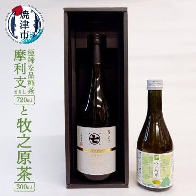 極稀な品種茶 摩利支(まりし)と 牧之原茶(a20-338)