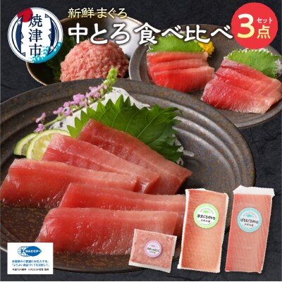 まぐろ 中トロ 食べくらべ 焼津 詰合せ セットS5(a17-046)