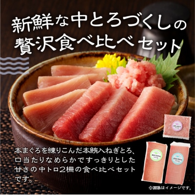 まぐろ 中トロ 食べくらべ 焼津 詰合せ セットS5(a17-046)