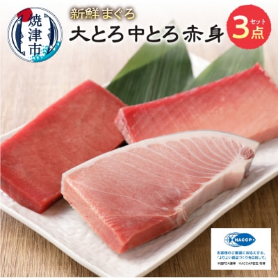 まぐろ 大トロ 中トロ 赤身 焼津 マグロ セット S7(a31-006)