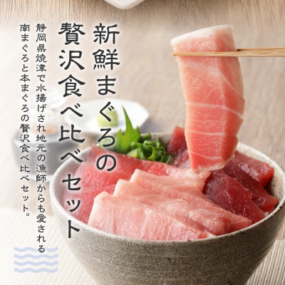 まぐろ 大トロ 中トロ 赤身 焼津 マグロ セット S7(a31-006)