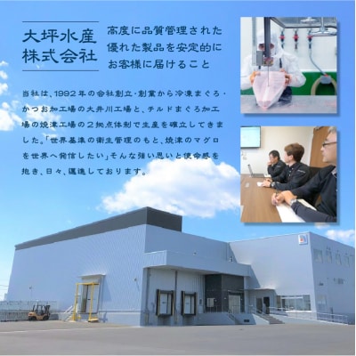 まぐろ 大トロ 中トロ 赤身 焼津 マグロ セット S7(a31-006)