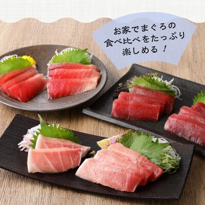 まぐろ 大トロ 中トロ 赤身 焼津 マグロ セット S7(a31-006)