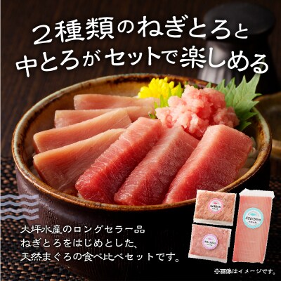 まぐろ 楽天市場】【ふるさと納税】まぐろタタキセット 鮪 たたき 本マグロ