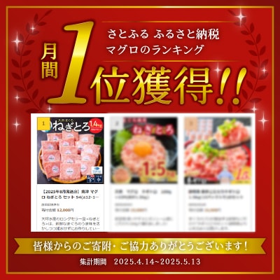 【2025年10月発送分】焼津 マグロ ねぎとろ セット S4(a12-150202510)