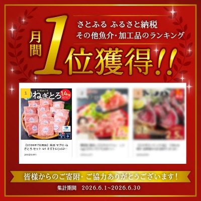 【お礼品発送予定時期要確認】ねぎとろ 1.4kg 100g×14P S4 焼津 ネギトロ マグロ