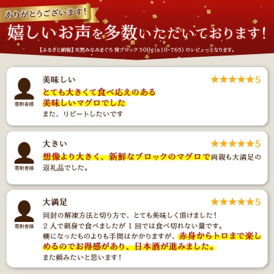 天然みなみまぐろ 背ブロック 500g(a10-765)