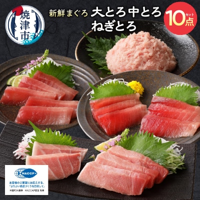 マグロ 大トロ 中トロ ねぎとろ 詰合せ セット S9(a55-010)