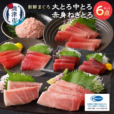 マグロ 大トロ 中トロ ねぎとろ 詰合せ セット S8(a39-004)