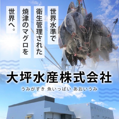 マグロ 大トロ 中トロ ねぎとろ 詰合せ セット S8(a39-004)