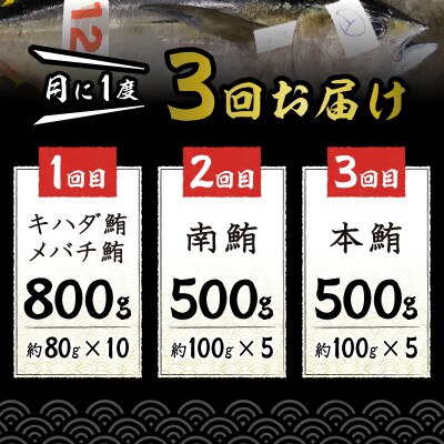 【定期便 3回】 天然鮪 + ネギトロ 個包装20食セット(a30-207)