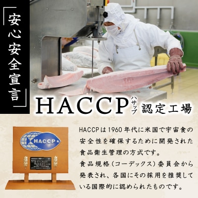 天然 南 鮪 マグロ まぐろ 100% たたき 10食 セット (a20-283)