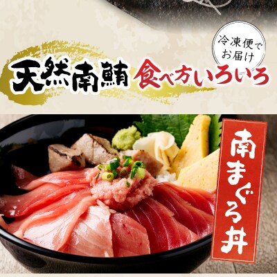 【定期便 10回】天然南鮪1本分(約2kg)(b650-003)