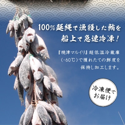 総重量約1250g!天然本鮪三昧(a30-175)