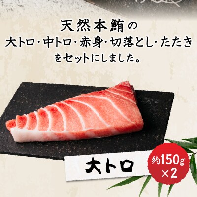 天然本鮪満喫セット(a50-096)