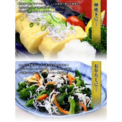 甲羅組 天然 釜揚げしらす 約500g 2袋 合計 約1kg(a10-807)