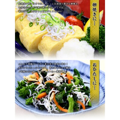 甲羅組 天然 釜揚げしらす 約70g 10袋 合計 約700g(a10-806)